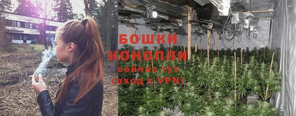 прущая мука Мегион