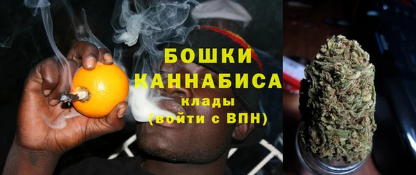 дурь Шали
