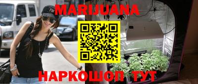 трава Кинель
