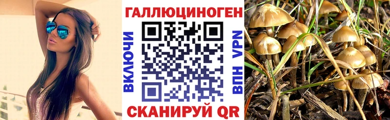 Галлюциногенные грибы Magic Shrooms  Фурманов 