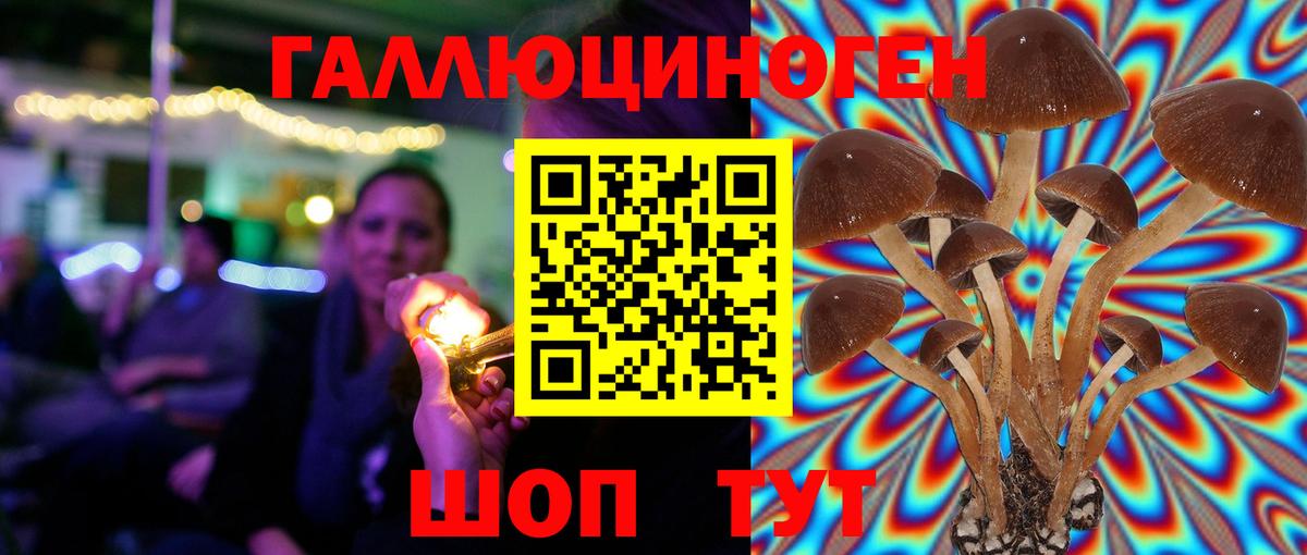 Псилоцибиновые грибы MAGIC MUSHROOMS  Фурманов 