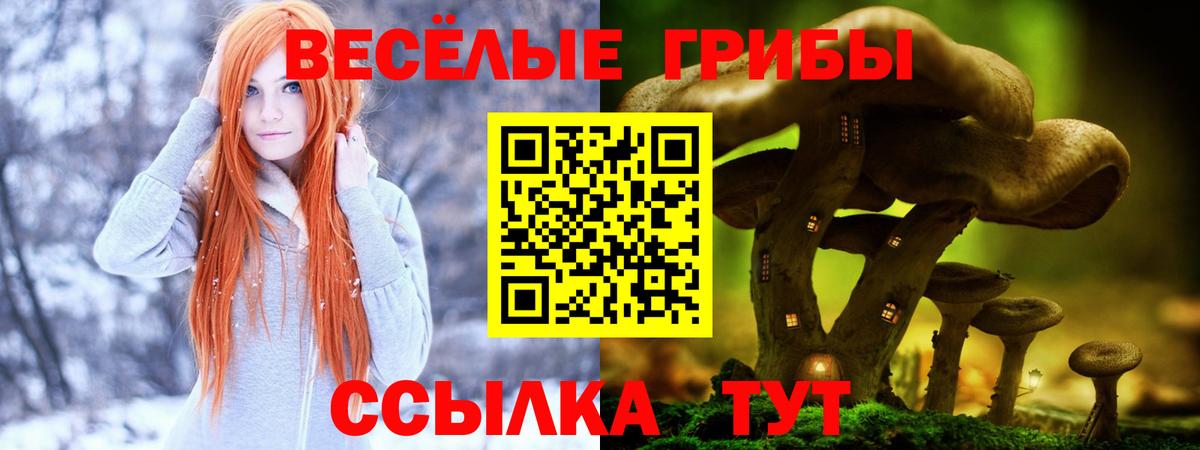 Фурманов  Галлюциногенные грибы ЛСД  Вход с VPN 
