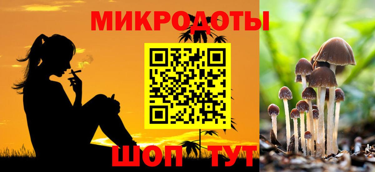 Галлюциногенные грибы Psilocybine cubensis Фурманов